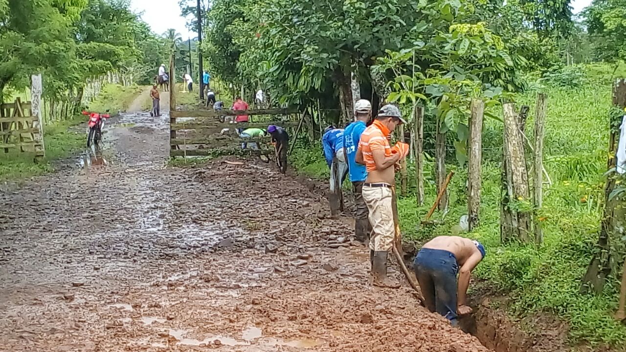 Guinea1